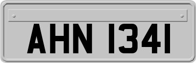 AHN1341