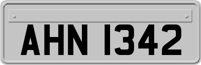 AHN1342
