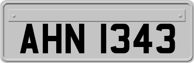 AHN1343