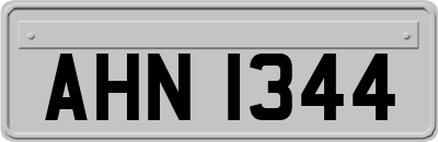 AHN1344