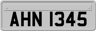 AHN1345
