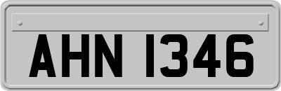 AHN1346