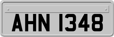 AHN1348