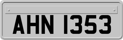AHN1353