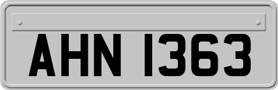 AHN1363