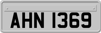 AHN1369