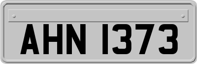 AHN1373