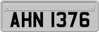 AHN1376