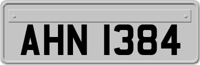 AHN1384