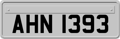 AHN1393