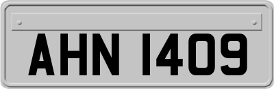 AHN1409
