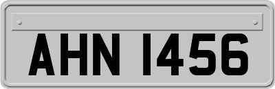 AHN1456