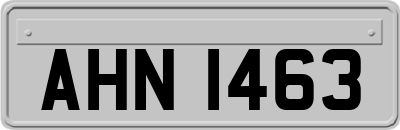 AHN1463
