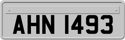 AHN1493
