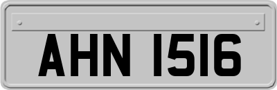 AHN1516