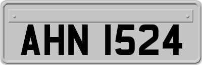 AHN1524