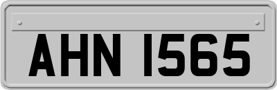 AHN1565
