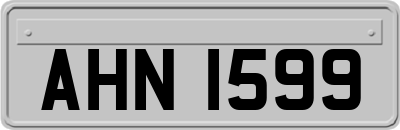 AHN1599