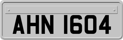 AHN1604