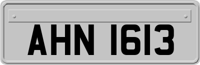 AHN1613