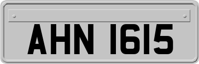 AHN1615