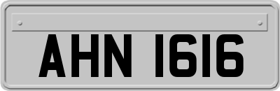 AHN1616
