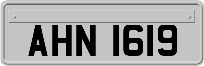 AHN1619