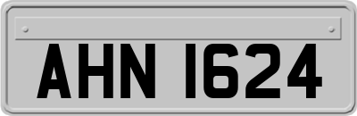 AHN1624