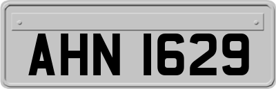 AHN1629