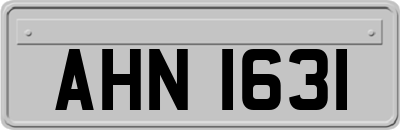 AHN1631