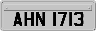 AHN1713