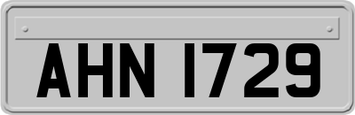 AHN1729