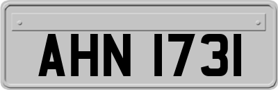 AHN1731