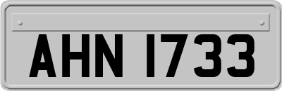 AHN1733
