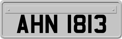 AHN1813