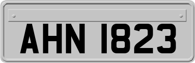 AHN1823