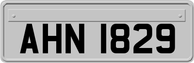AHN1829