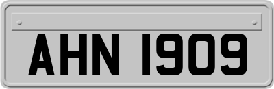 AHN1909