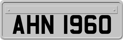 AHN1960