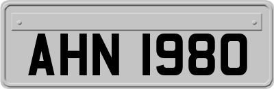 AHN1980