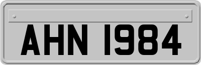 AHN1984