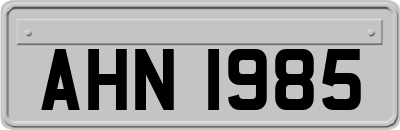AHN1985