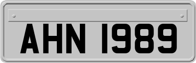 AHN1989
