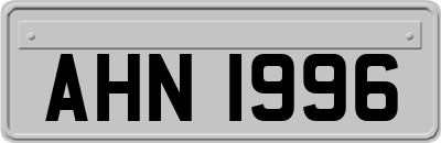 AHN1996