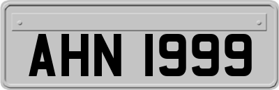 AHN1999