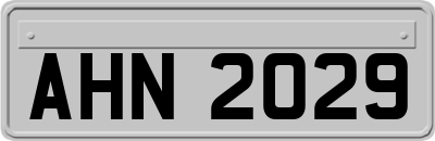 AHN2029