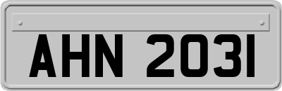 AHN2031