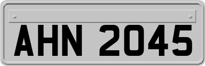 AHN2045