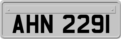 AHN2291