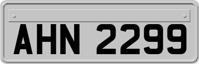 AHN2299